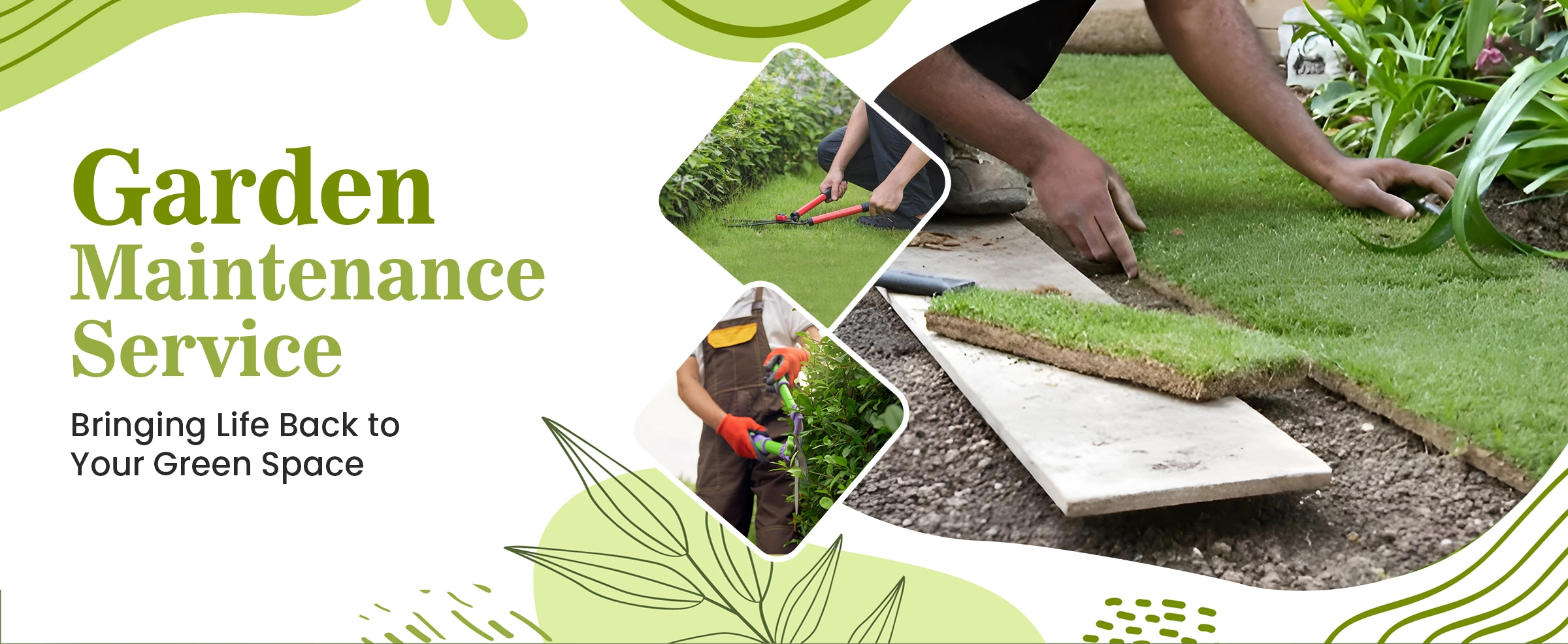 Best Maali Service for Home & Commercial Gardens